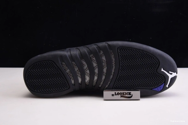 HYPE CT8013 'Dark 005 Concord' Retro Jordan 12 Air 0725